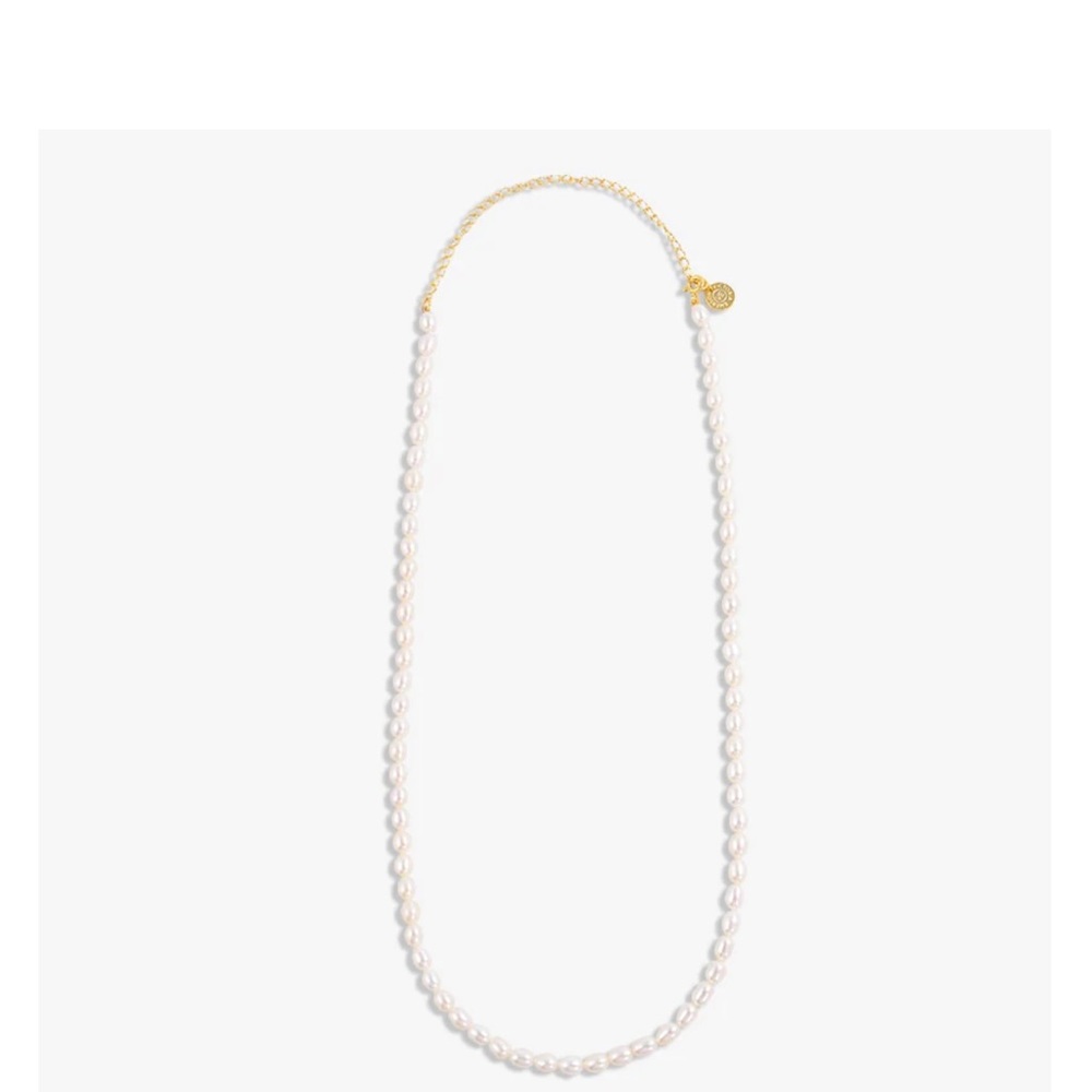 Never Worn! Ariel Gold Vermeil Pearl Necklace